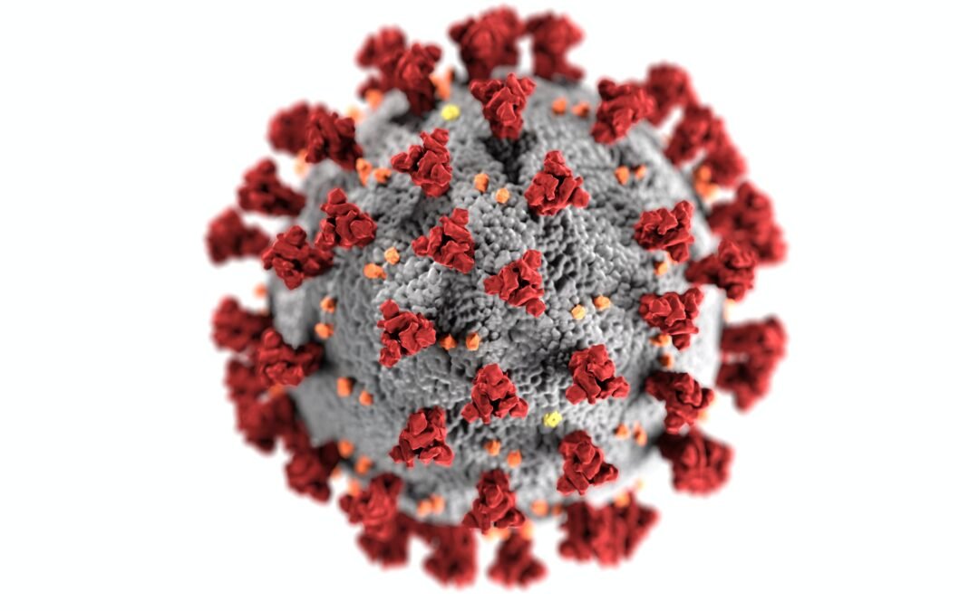 Coronavirus is a wake-up call for supply chain management, don’t hit the snooze button!